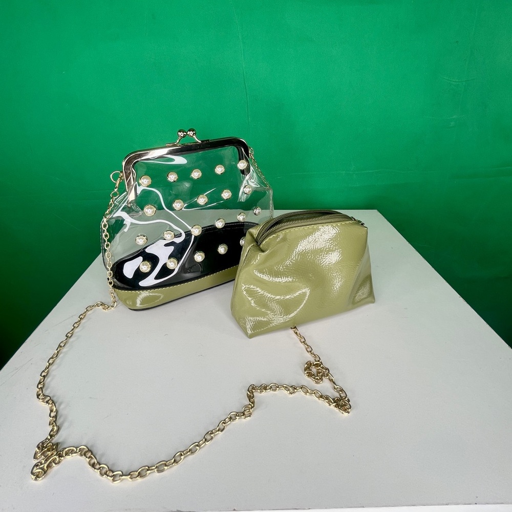 Beautiful Clear purse